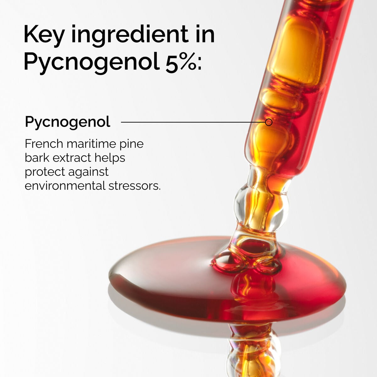 pycnogenol-5-w6 FY25-D41247-ORD-Web-PDP-Pyc-5pct-1x1-EN-2a.jpg