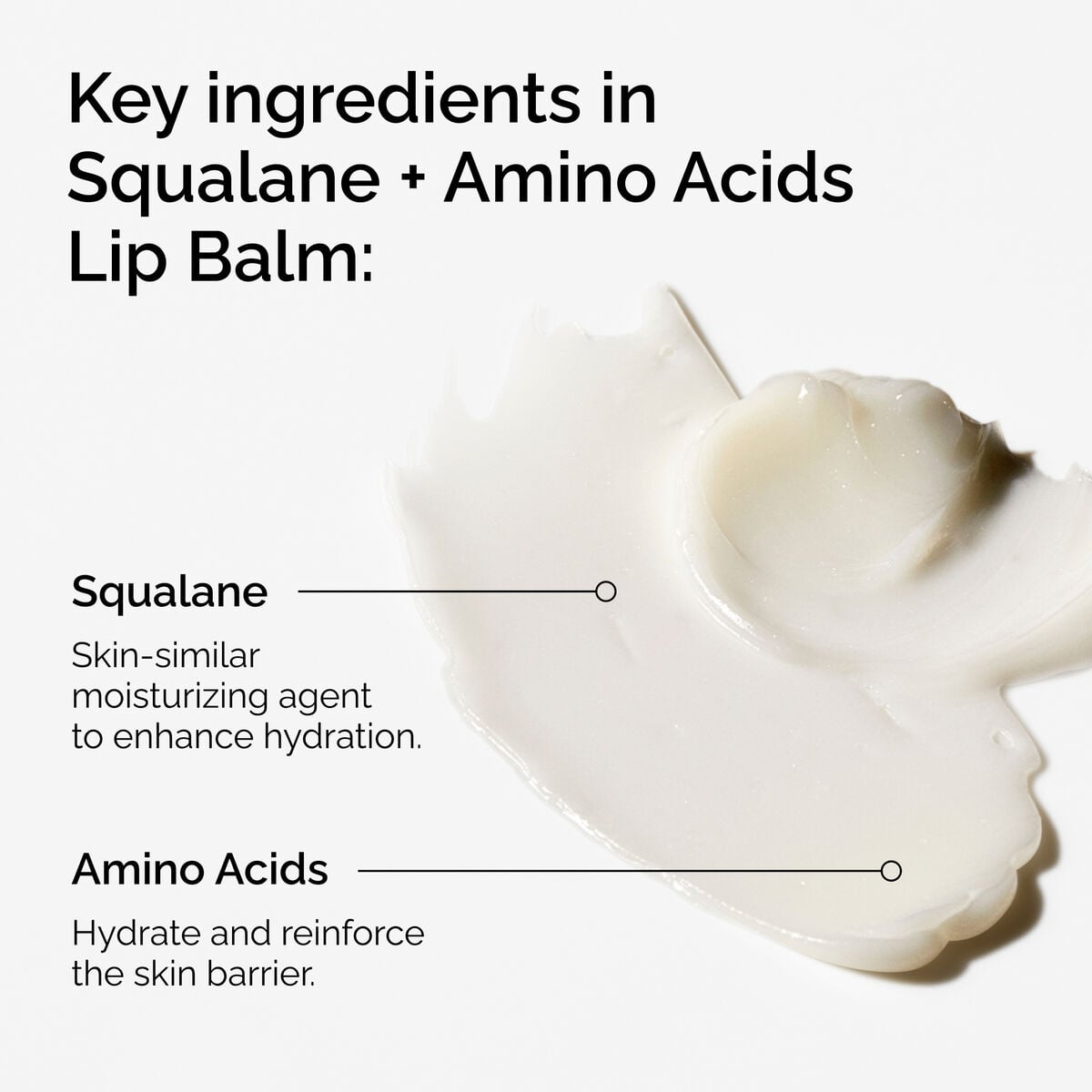 squalane-amino-acids-lip-balm-y9 FY25-D41247-ORD-Web-PDP-Sql-Amino-Lip-1x1-EN-2a.jpg