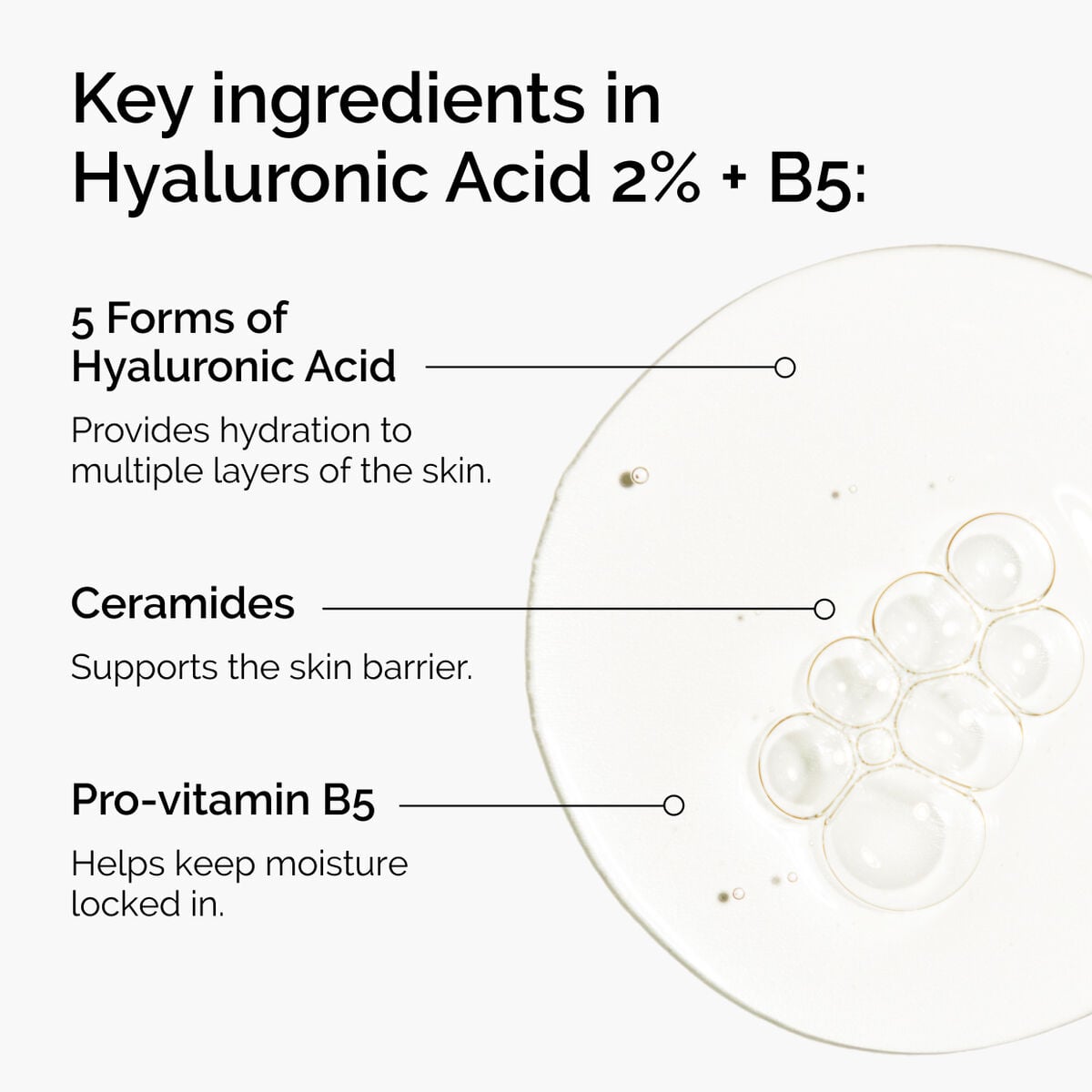 hyaluronic-acid-2-b5-with-ceramides-d1 ord-hyaluronic-acid-2pct-b5-hydrating-serum-ingredients-graphic.jpg