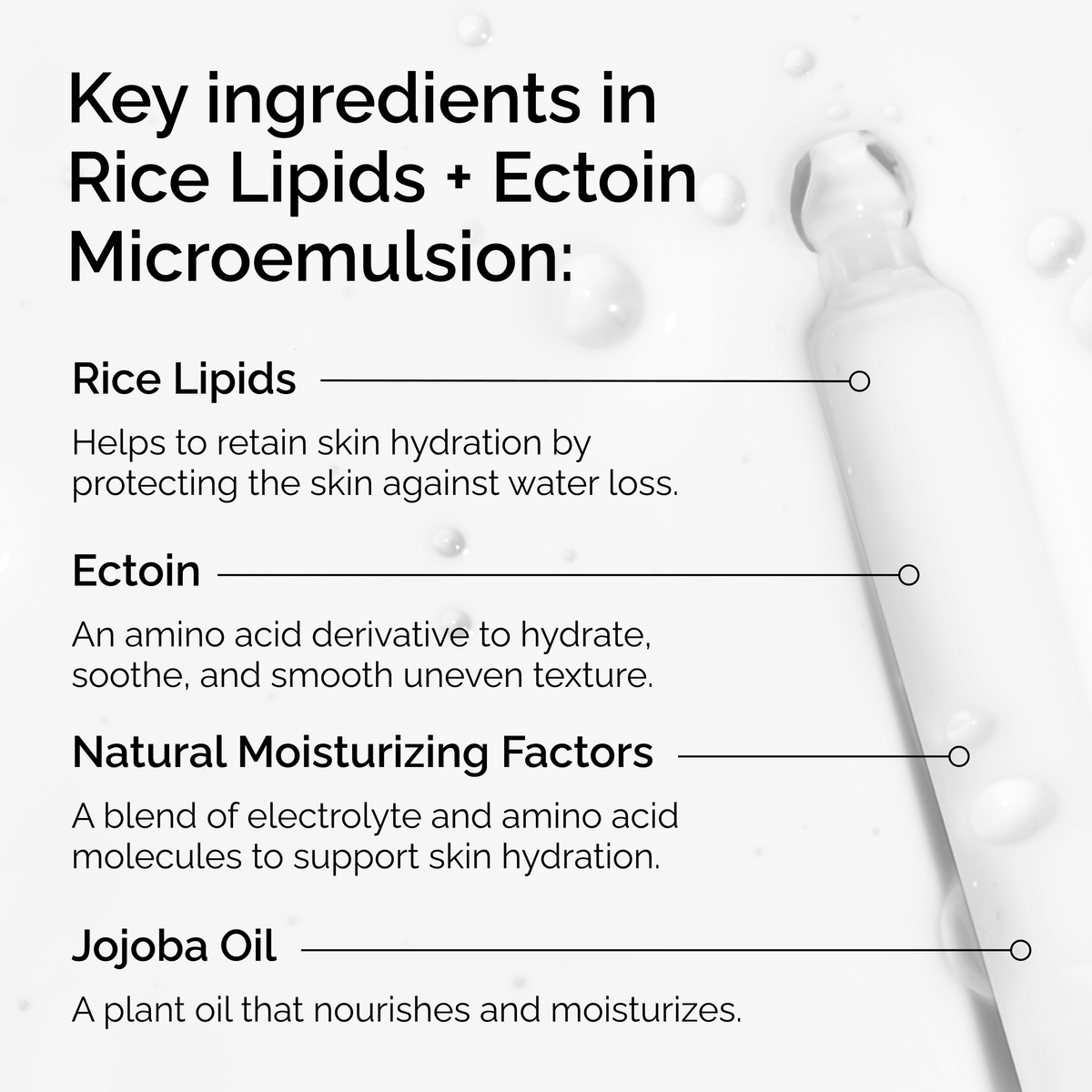 rice-lipids-ectoin-microemulsion-d8 ord-rice-lipids-ectoin-microemulsion-key-ingredients.png