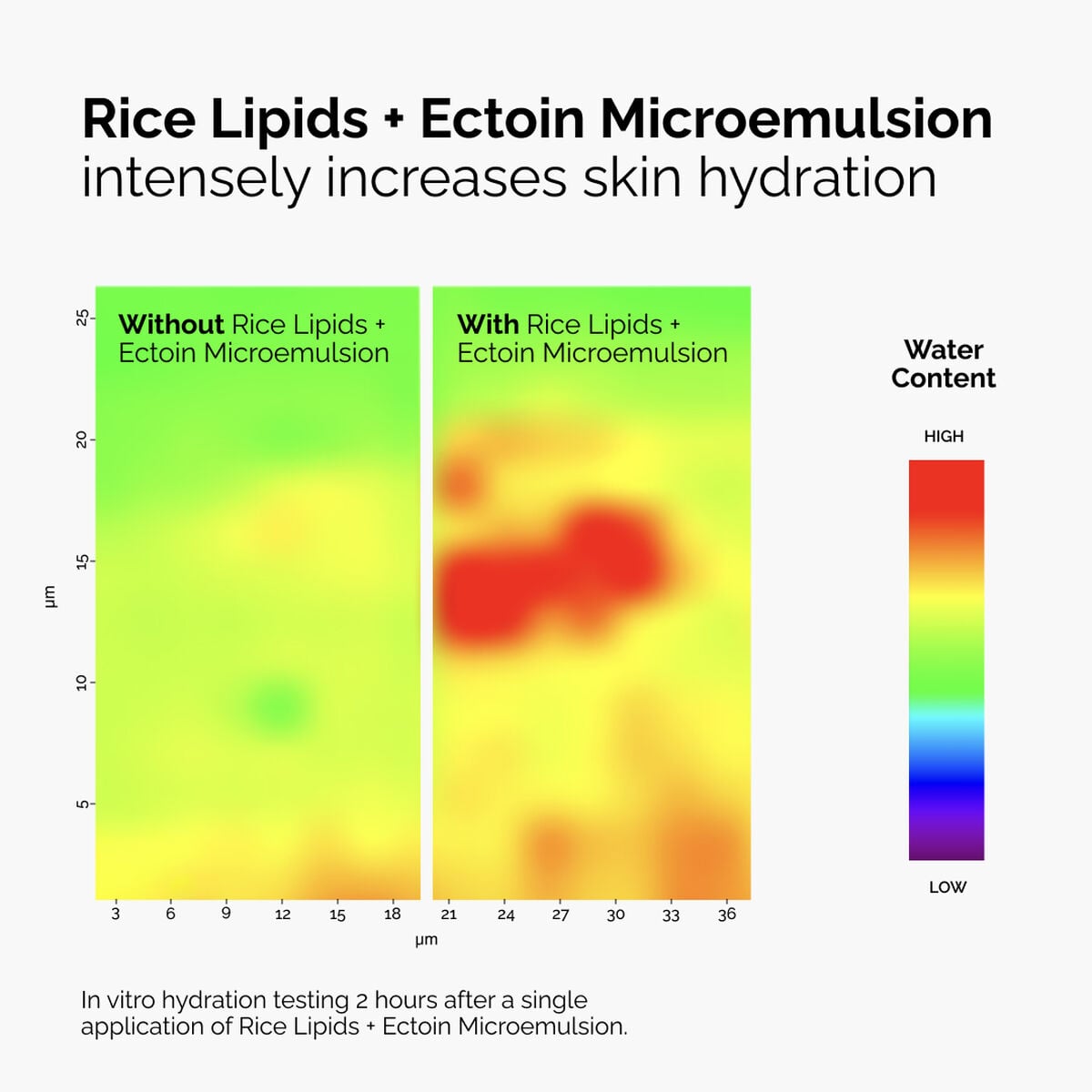 rice-lipids-ectoin-microemulsion-d8 ord-rice-lipids-ectoin-microemulsion-thermal-before-after.jpg